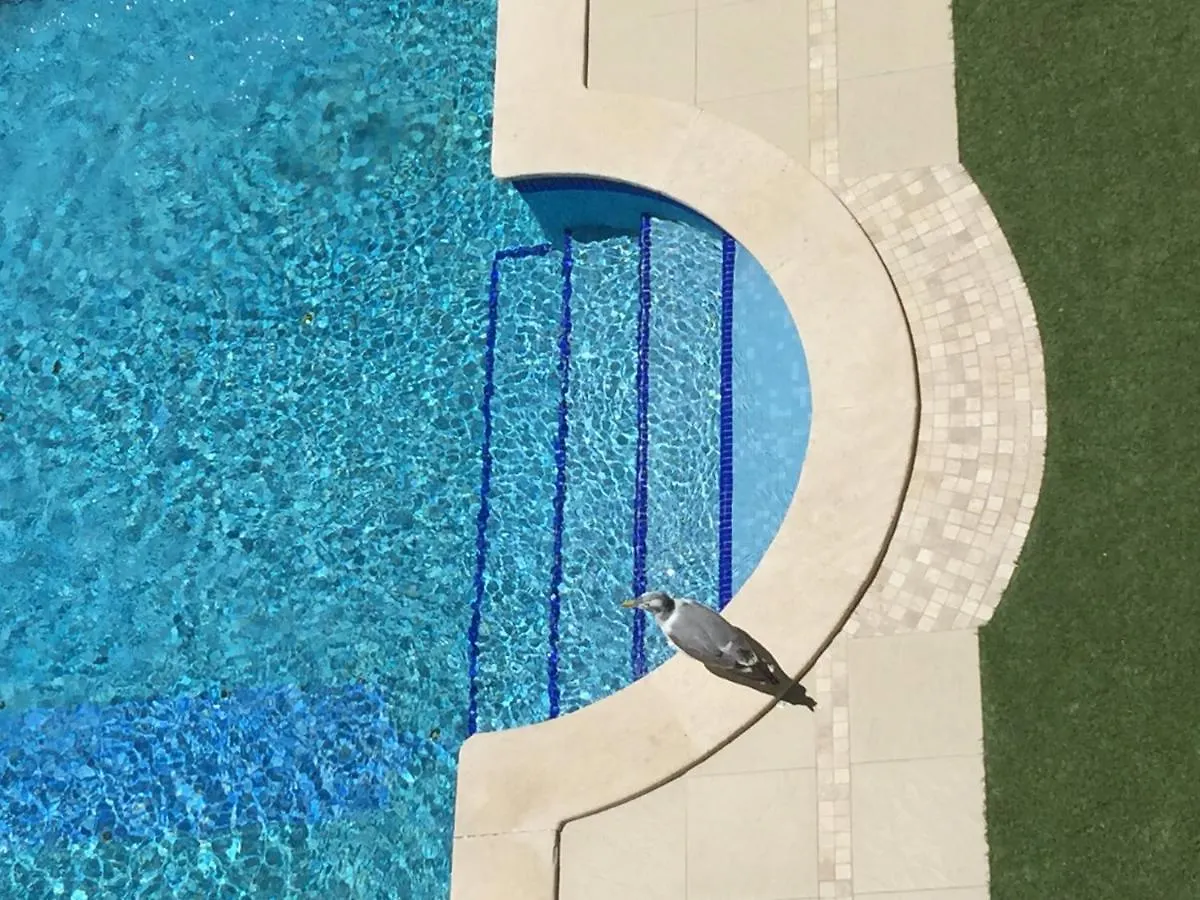 3 Min Walking To Peneco Beach Albufeira At Sol A Sul Apartments Portugal